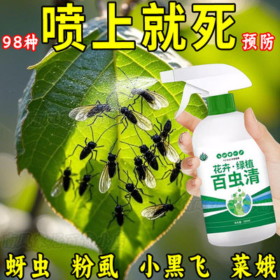 百虫清蔬菜专用除杀虫剂蚜虫花卉