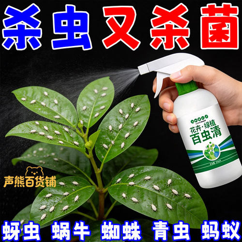 绿植除虫剂多肉月季驱花蚜虫蚧壳