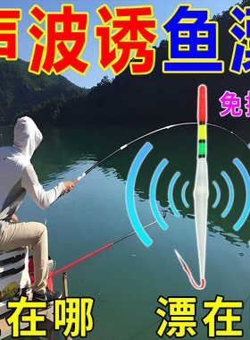 电子漂带电池塑料电子鱼漂浮漂超亮夜光漂钓具渔具立式夜光浮漂