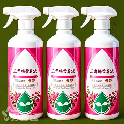 三角梅促花爆花营养液