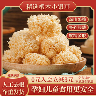 当季 椴木小银耳古田出胶银耳白木干货耳雪耳百合莲子羹批发 新货