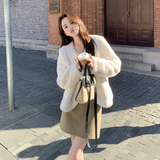 冬装现货-仿水貂皮毛一体191-（F672-1）-P195-K289，女装皮草，浙宝210（原浙宝191）