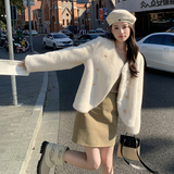 冬装现货-仿水貂皮毛一体191-（F672-1）-P195-K289，女装皮草，浙宝210（原浙宝191）