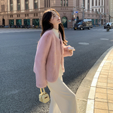 现货主推-仿水貂皮毛一体191-K672-P195-K289，女装短外套，浙宝210（原浙宝191）