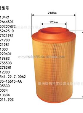 89266761 055134R1 1039644S01 33850200M92 17952425-0 空气滤芯