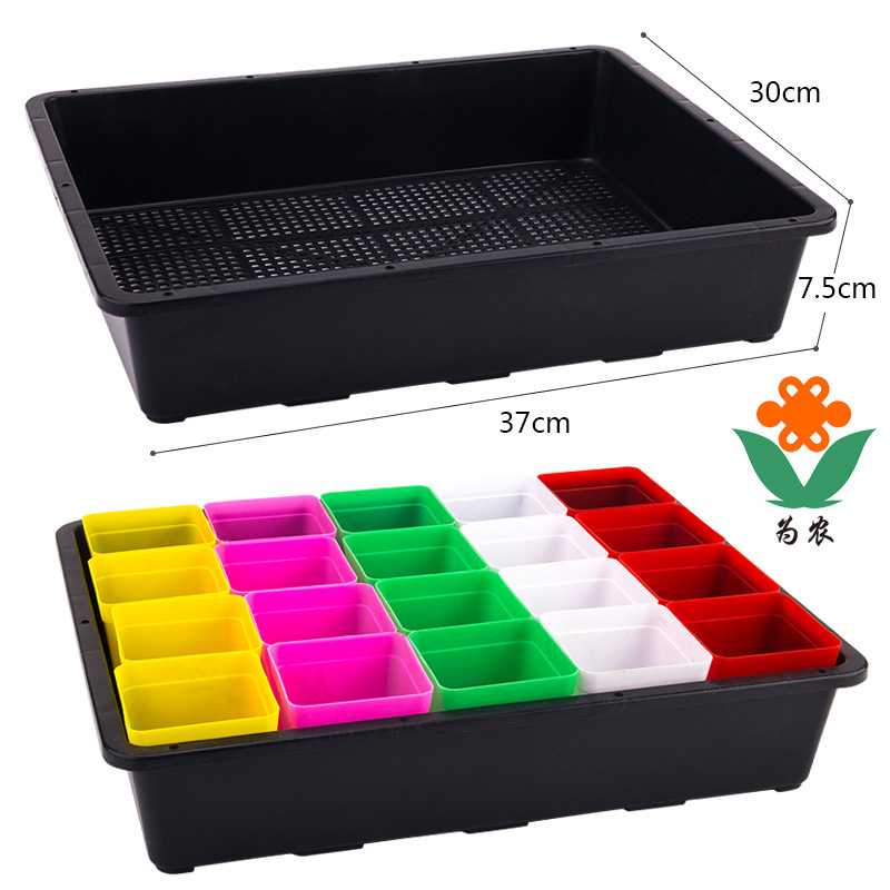 新款直销7.5cm高多肉育苗箱S5芽苗菜育苗盘盒多肉叶插塑料花盆种