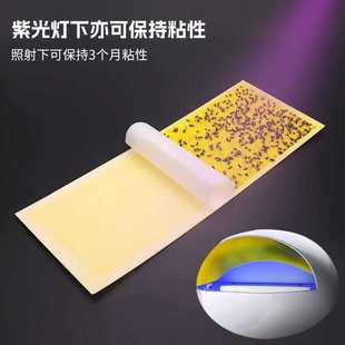 新款直销粘捕式灭蚊灯粘虫板灭蝇纸灭蝇灯灭蚊灯粘纸餐厅商用粘蝇