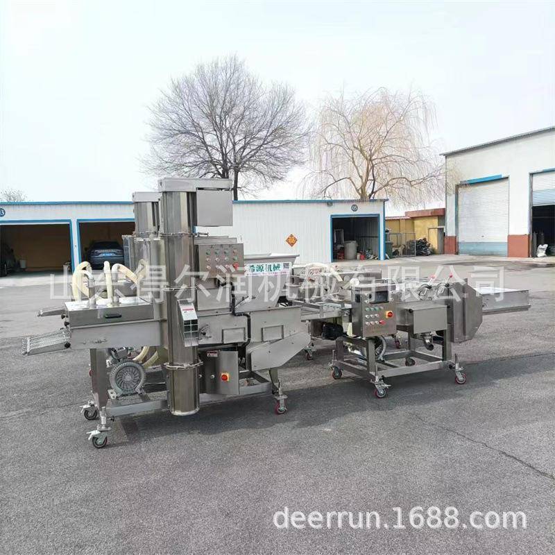 全自动400型上浆机 冻干草莓巧克力淋浆机 水果涂裹设备生产线