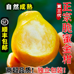 正宗广西脆蜜金柑5斤第三代当季水果金桔鲜果金橘纯甜融安顺丰3