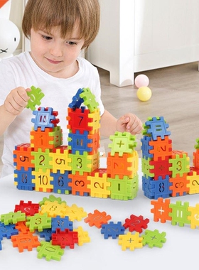 Montessori Building Blos Toys for Kids 2 to 4 Year Old Boy