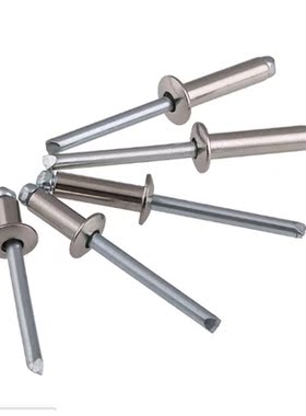 304 stainless steel blind rivets countersunk rivets decorati