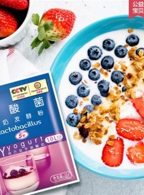 Lactobacillus yoghurt fermentation bacteria yoghurt yoghu