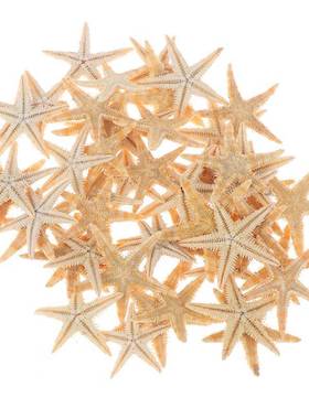 100pcs Sea Shells Size:0.5-3cm Mini Starfish Craft Decorati