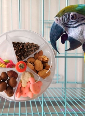 Parrot Feeder Device Foraging Toys Bird Bite Toy Wheel Shap
