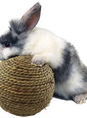 Small Pet Chew Toys Natural Grass Ball Rabbit Hamster Chewin