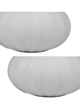 2pcs Sashimi Dish Porcelain Serving Plate Dinner Serving