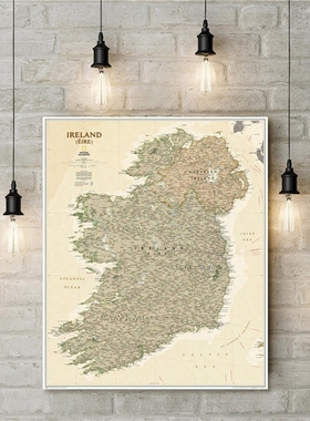 Vintage Ireland Map Geographic Poster Antique Canvas Print