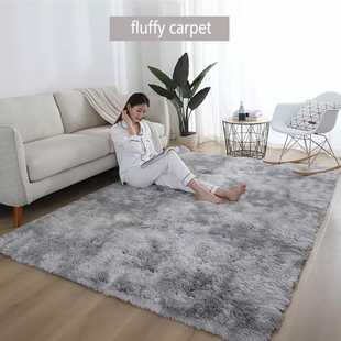 Fluffy carpet Living room bedroom mat / tea table floor mats