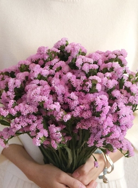 Yunnan forget-me-not all over the sky star dry flower