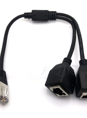 1 Male to 2 Female 2 Ways RJ45 Ports Ethernet Network Split