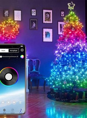 USB LED String Light Bluetooth App Control Copper Wire Strin