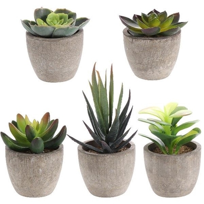 Plants Succulents Succulent Artificial Fake Faux For