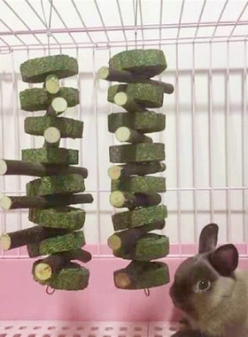 Guinea Pig Bite Grind Teeth Toys Small Pets Rabbit Hamster