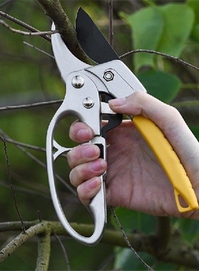 Garden Pruning Shear Gardening Plant Scissor Branch Pruner