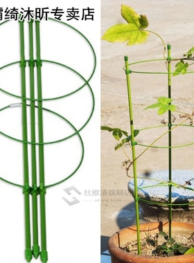 Vegetables Support Frame Gardening Tool Decorative Trellis P
