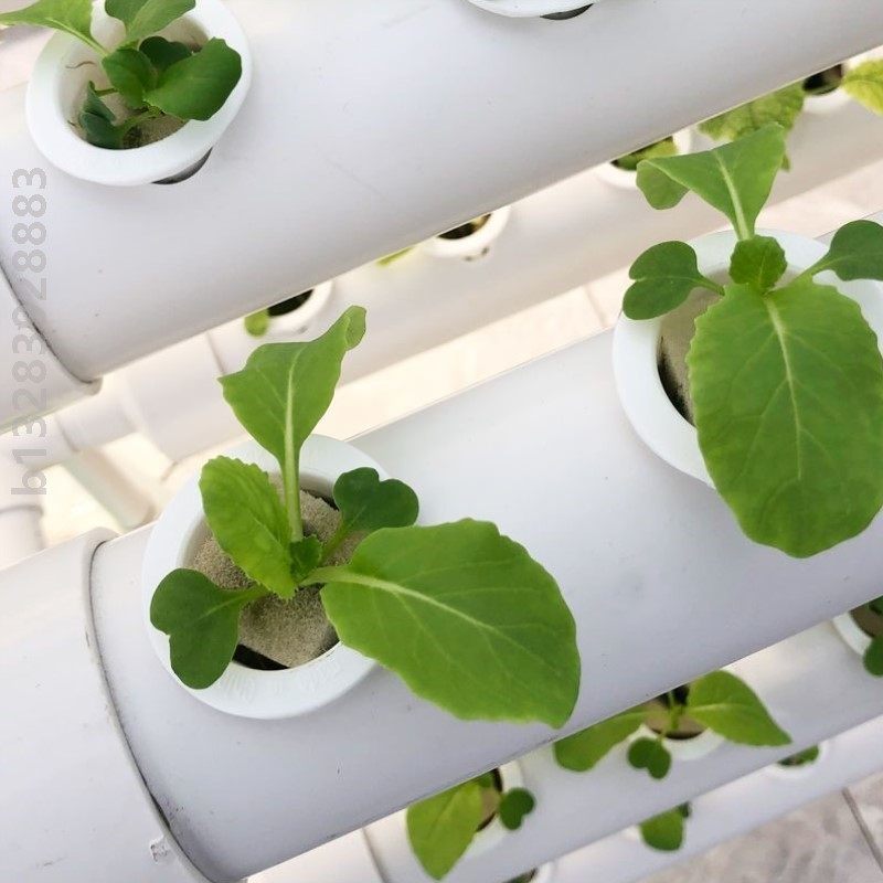 无土栽培设备家庭阳台管道水培蔬菜设备自动浇水种菜机水耕种植架