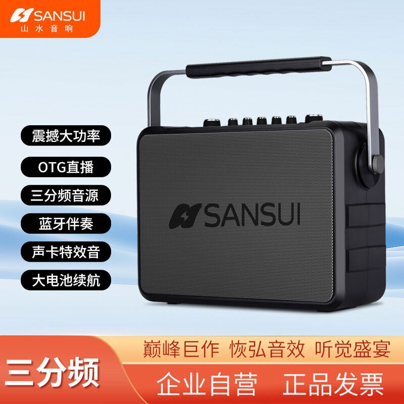 山水领舞老师专用音响大功率户外