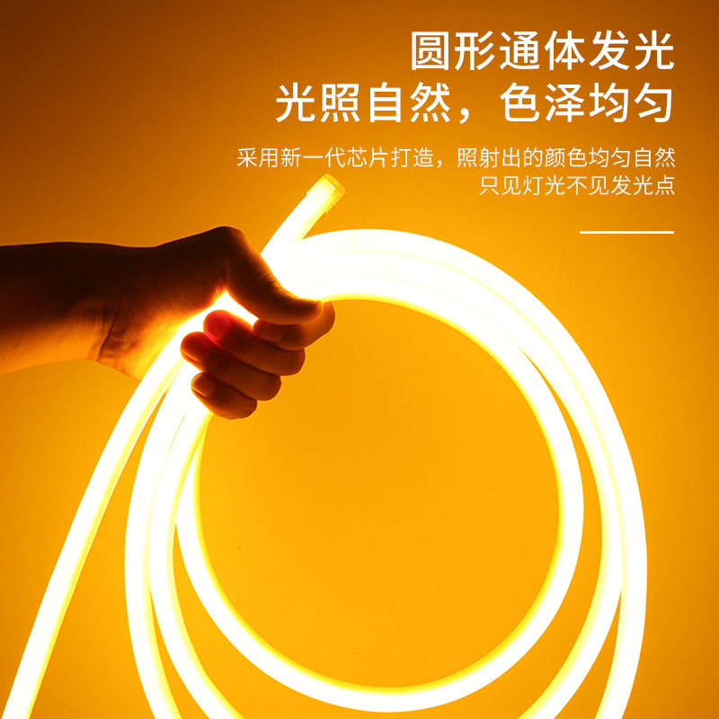 低压36v圆形灯带led超亮