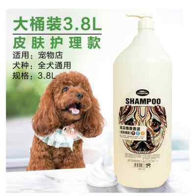 威济埃及艳香系列宠物沐浴露狗狗香波宠物洗澡浴液清洁用品500ml