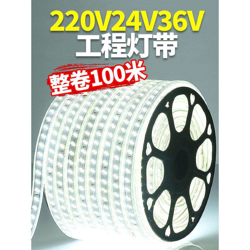 LED灯带220v户外防水地下室隧道工地亮化装饰照明白光灯条24V36V
