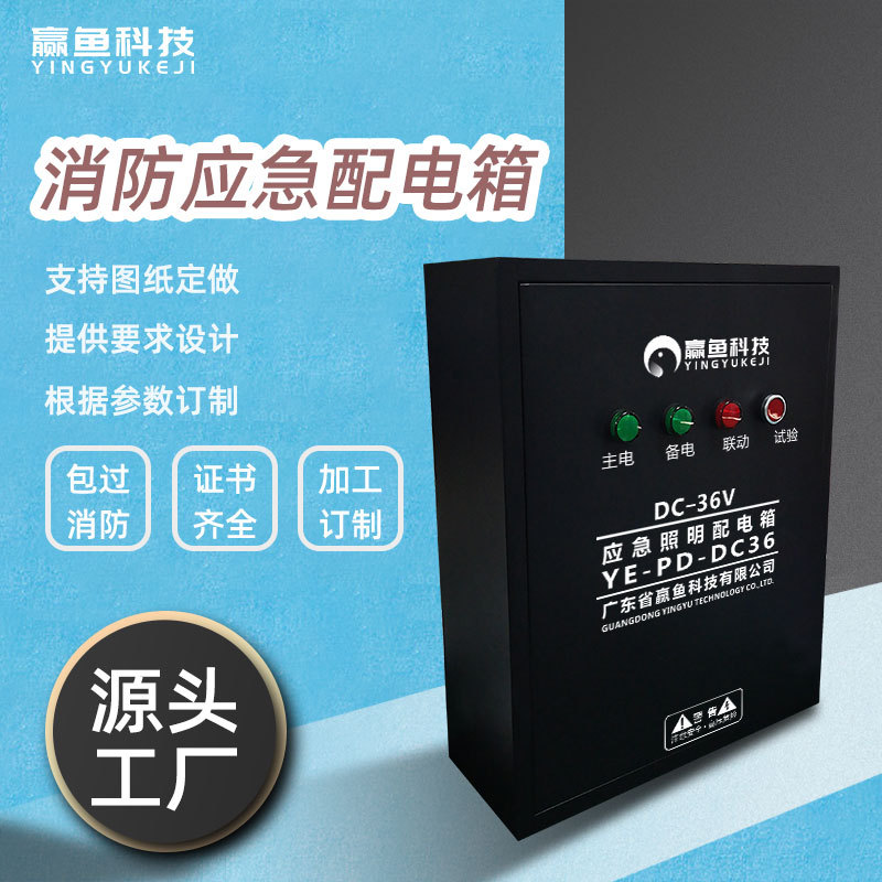 赢鱼科技智能应急照明配电箱工程备用电源A型低压36V配电柜明装