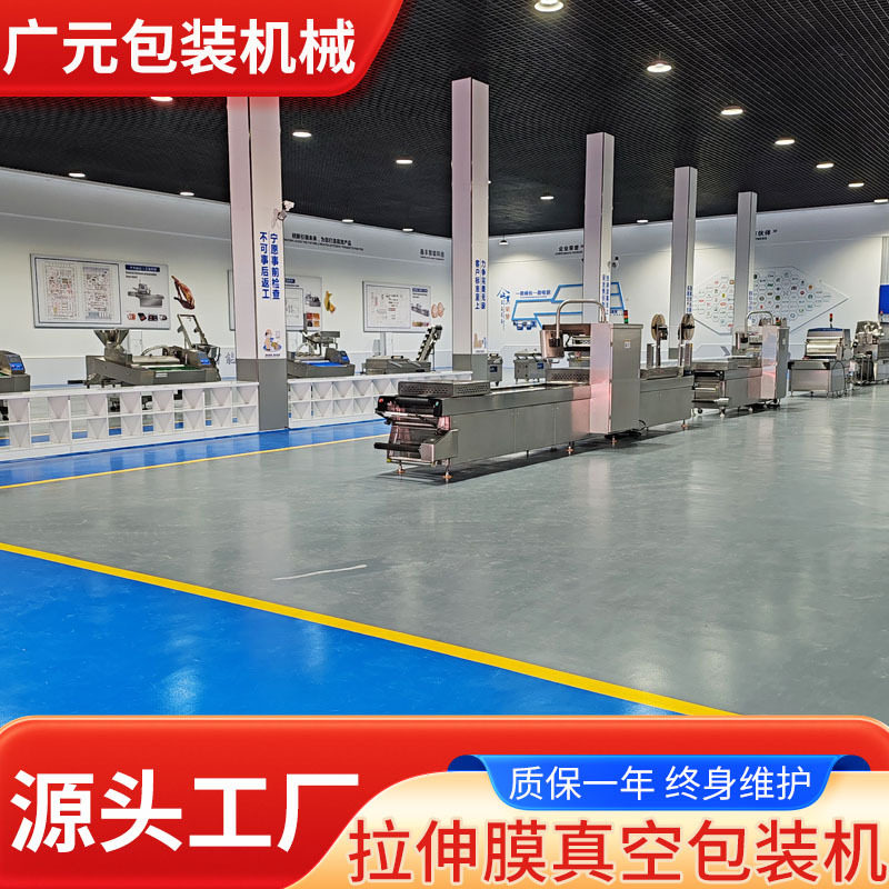 干制奶酪商用全自动真空包装机