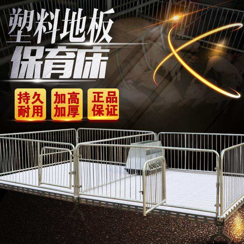 养猪的保育床塑料漏粪板小猪保育床猪仔保育床双体保育床直销