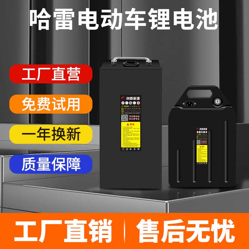 速发创赢电动哈雷车61v0ha0  48v20ah哈雷车电瓶通用款式