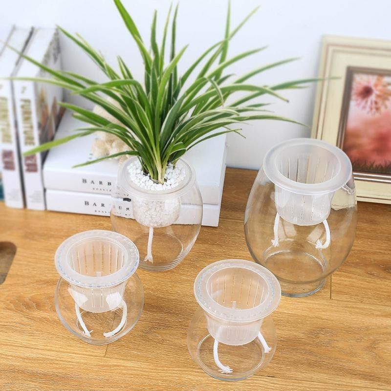 速发加深定植篮水培器皿花盆绿萝固定器水培植物定植篮玻璃瓶固根