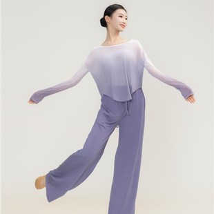 速发渐变古典舞弹力纱衣身韵舞蹈国功服中练舞艺考上衣民族舞演出