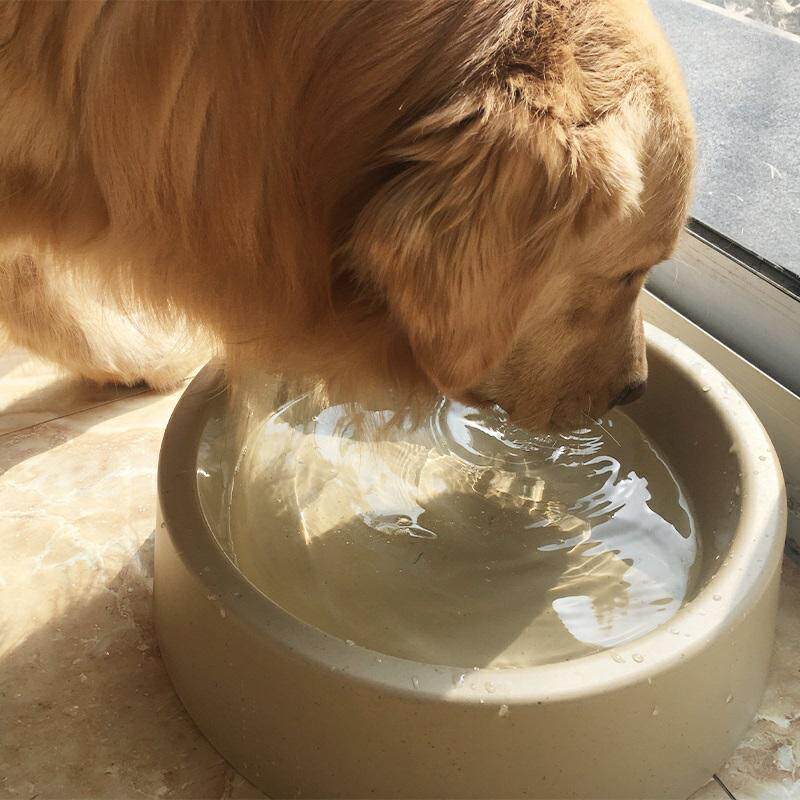 速发大型犬狗碗特大号狗盆吃摩耶牧毛边金阿拉斯加萨饭喝水盆食盆