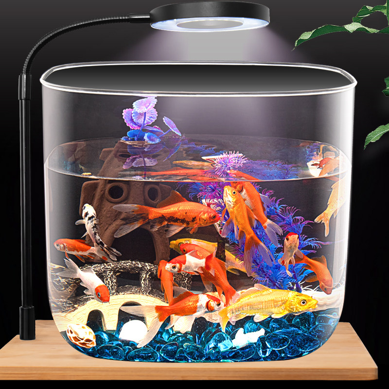 速发圆形创意鱼缸客厅中缸瓶家用水族箱透明缸乌龟小桌面花型摆件