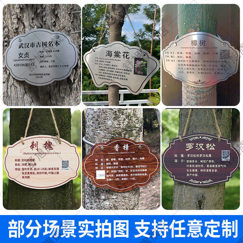 速发亚克力树牌挂牌学校公园铭牌不锈钢植物信息提示牌树木介绍牌