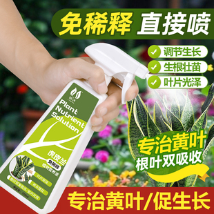 速发虎皮兰专用免稀释营养液通内外植物花根盆栽治黄叶烂卉室用肥