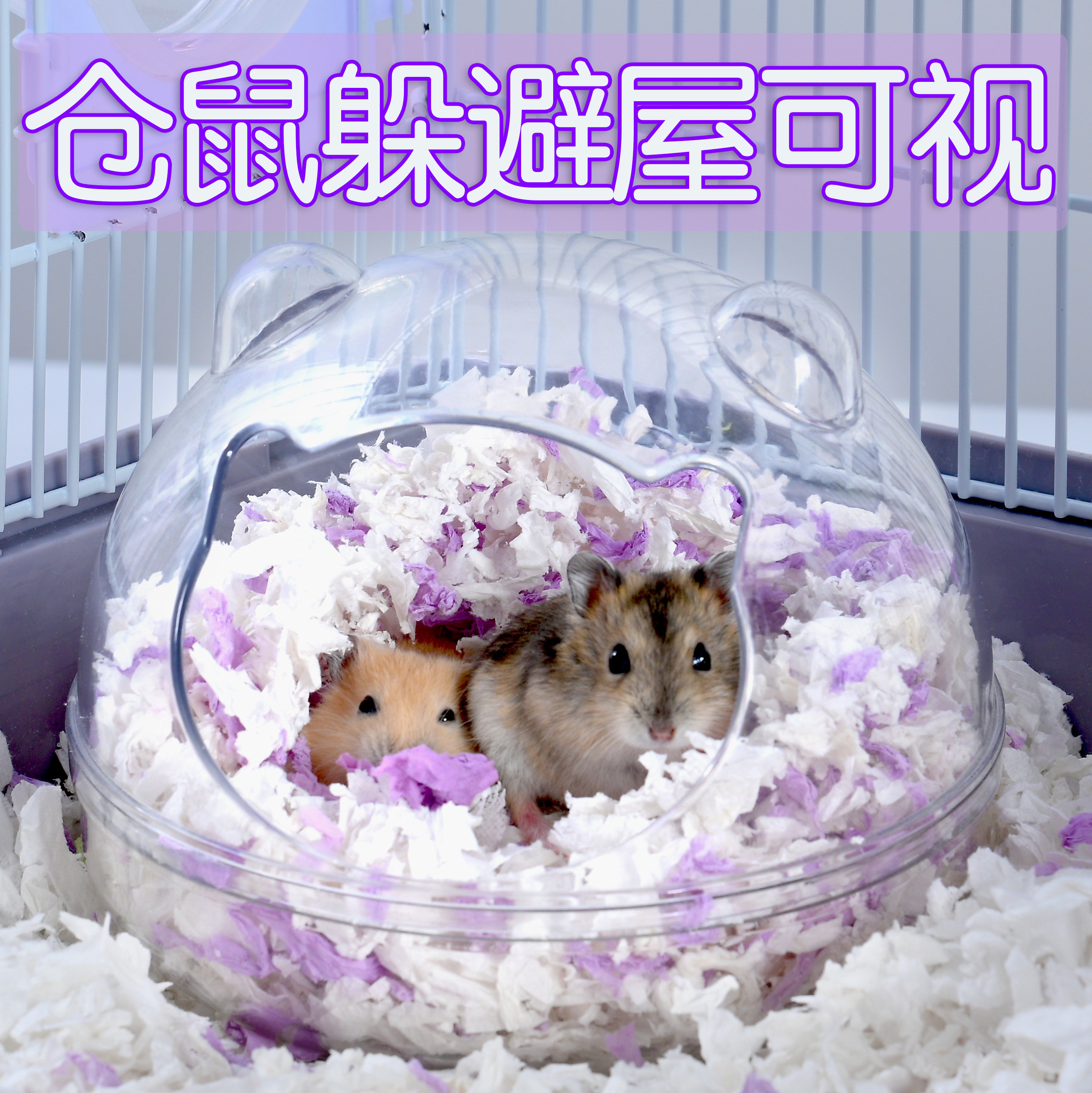 速发金丝熊苍浴品躲避屋可视小睡房子小窝大号四季通用鼠大全仓室