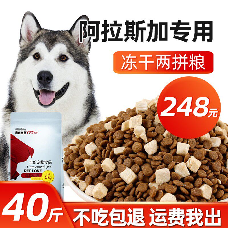 速发阿拉斯加干橇犬冻雪成犬幼犬40斤大0犬增肥2型kg