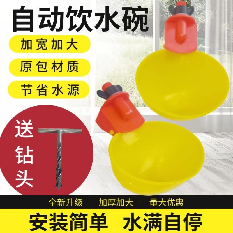 速发鸡用饮水碗鸡子自动饮水器鹌鹑饮水碗大鸽小鸡喝水饮禽自动家