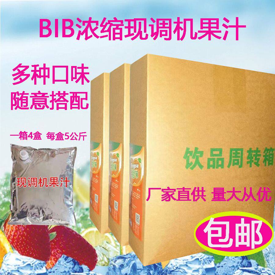 BIB10倍浓缩果汁果茶5公斤袋装原浆包现调饮料商用甜橙蓝莓水蜜桃