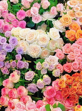 【DG】【基地鲜花】一单包邮两单顺丰