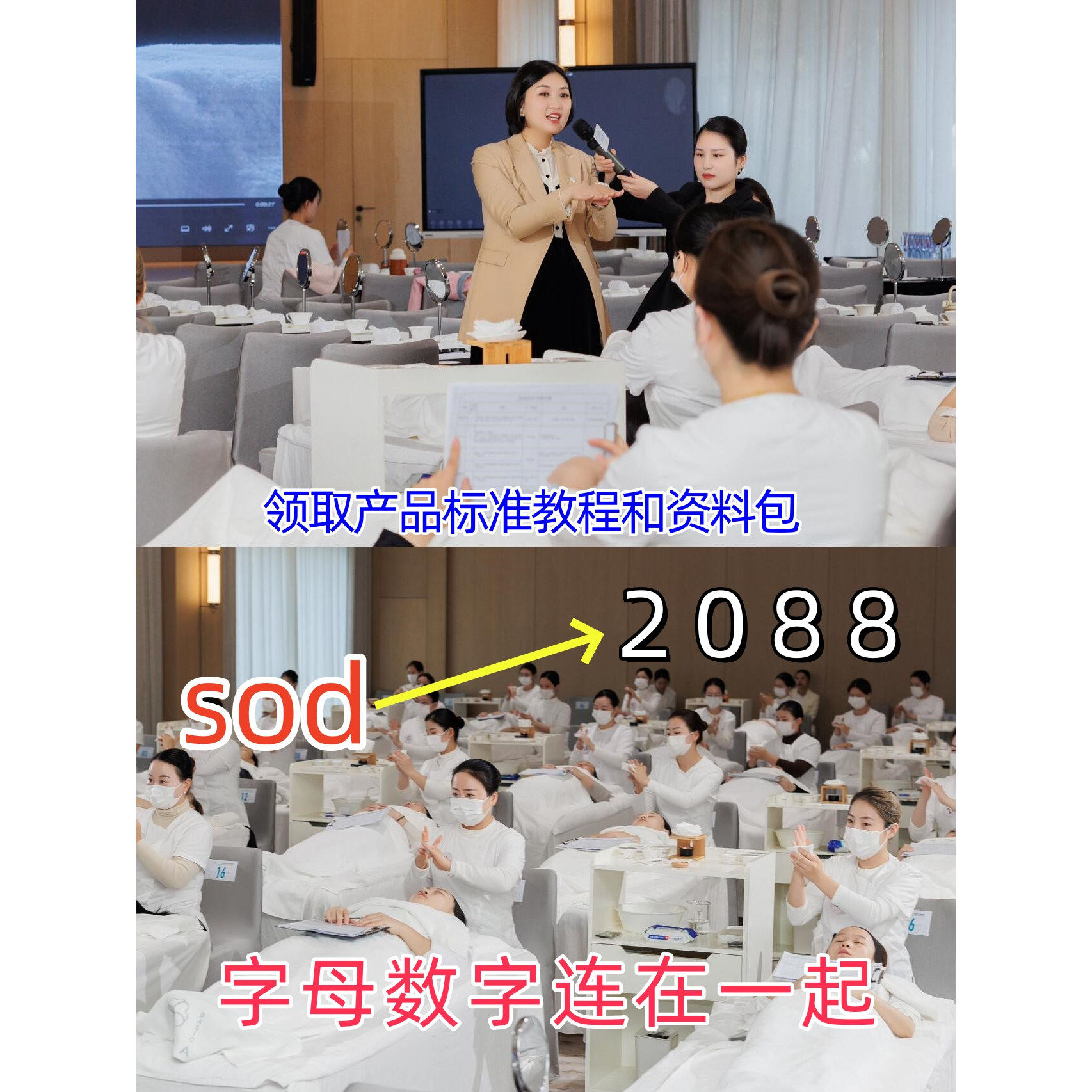 皮肤管理视频教程日韩按摩手法美刻录盘个性化服务